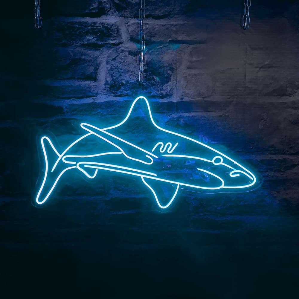 neon requin déco