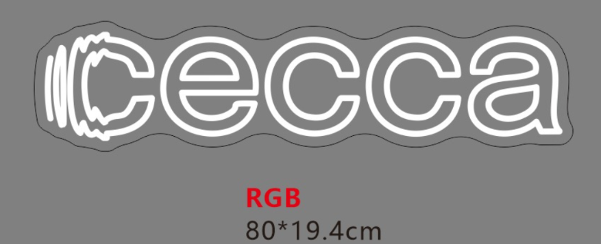 CECCA néon personnalisé - RGB + Bandes Adhésives