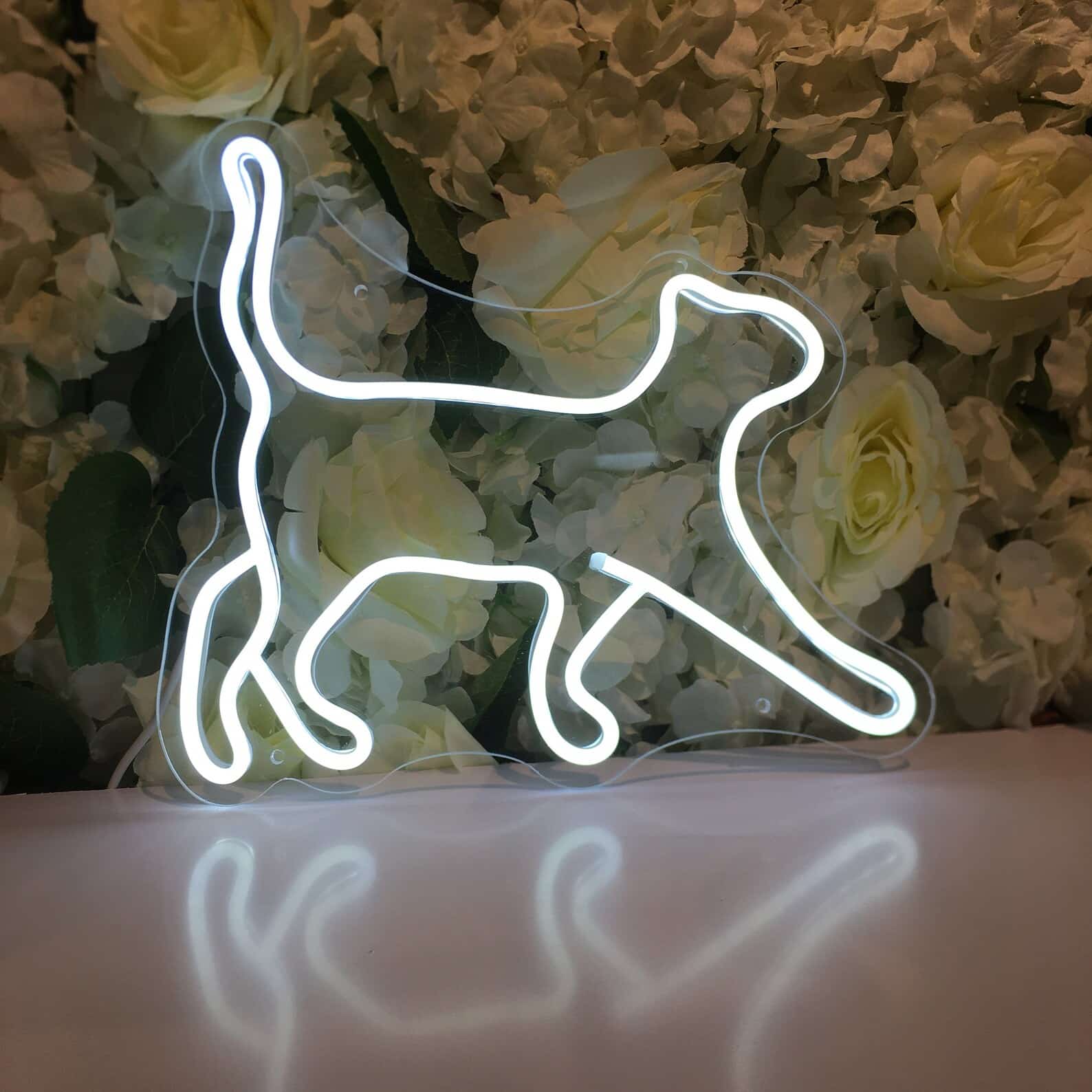 Néon LED Chat #2 – Studio Néon