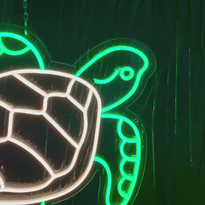 video neon tortue