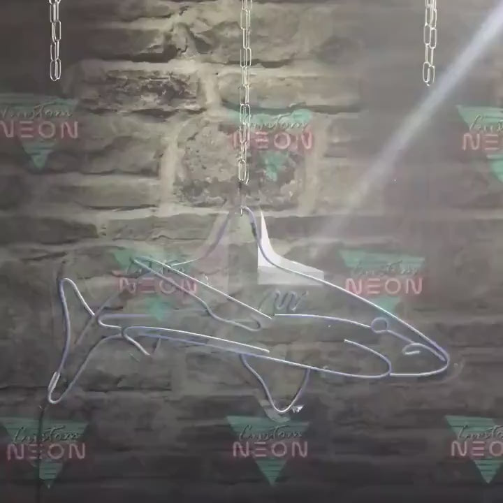 video neon requin
